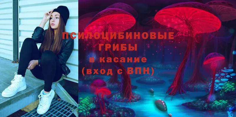 Псилоцибиновые грибы Cubensis  кракен зеркало  Гагарин 